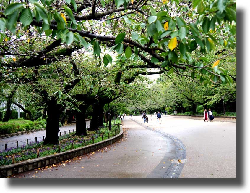 上野公園_c0121824_10274181.jpg
