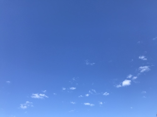 c0345631_08212626.jpeg