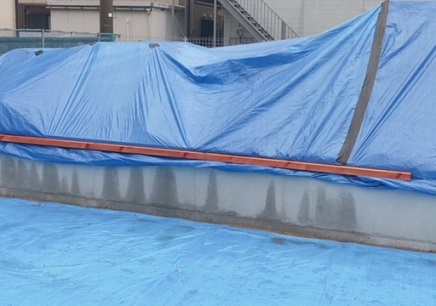 c0367433_13524805.jpeg