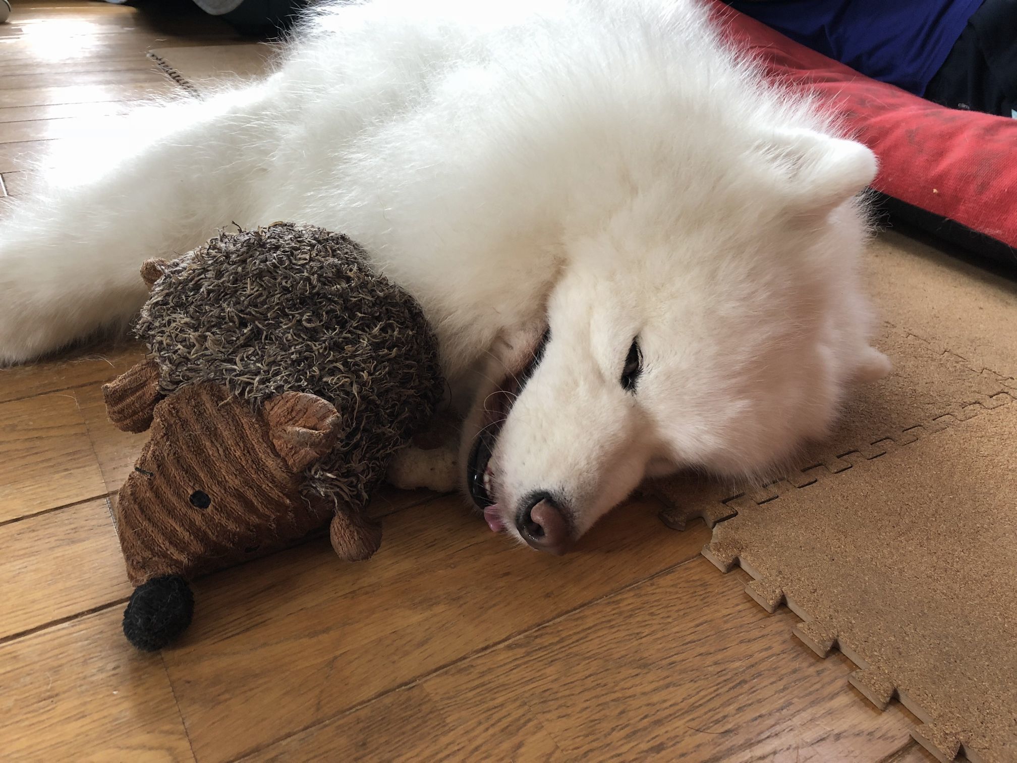 ようやく暑さも一段落_f0128542_01260393.jpg