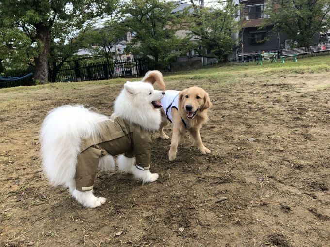 ようやく暑さも一段落_f0128542_01304940.jpg