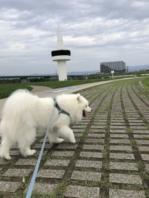 ようやく暑さも一段落_f0128542_01362337.jpg