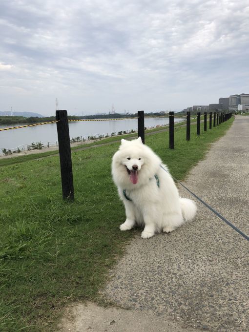ようやく暑さも一段落_f0128542_01385524.jpg