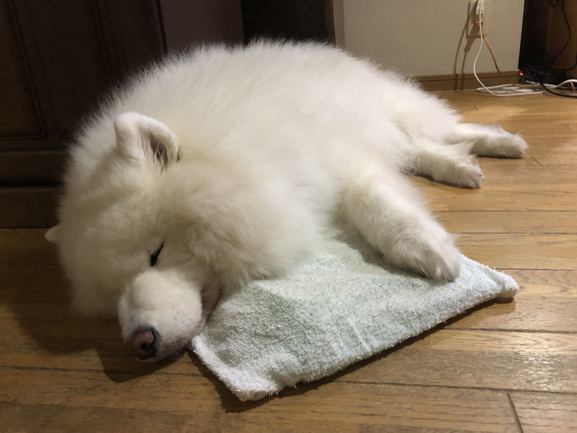 ようやく暑さも一段落_f0128542_01421184.jpg