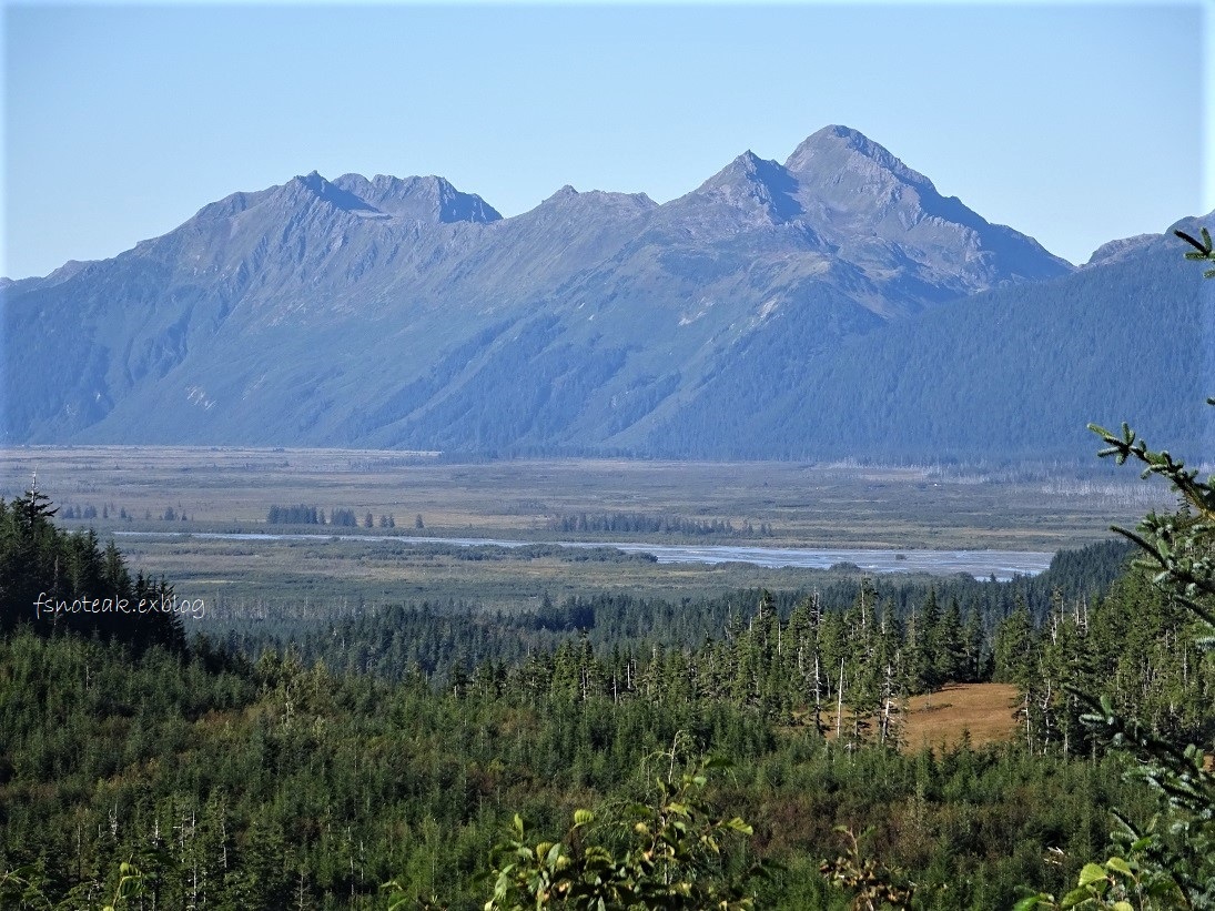 d0356844_06123092.jpg