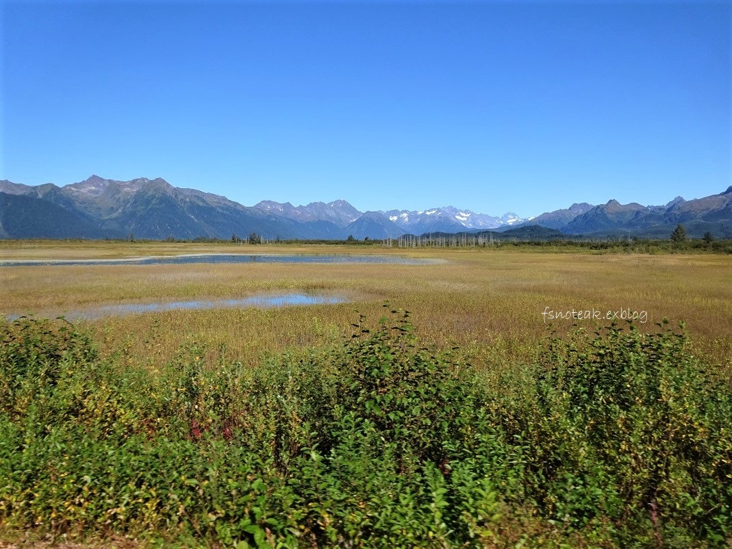 d0356844_06162261.jpg