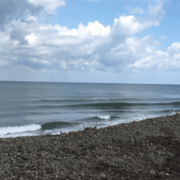 c0254151_21172782.gif