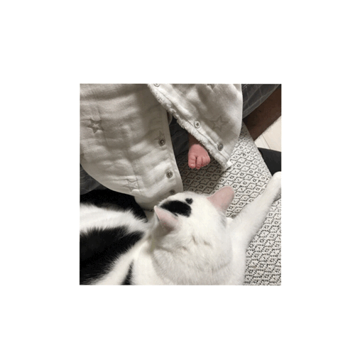 伊勢丹新宿店ワークショップ_b0313555_15215283.gif