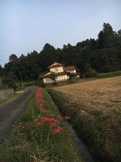 f0363168_22152840.png