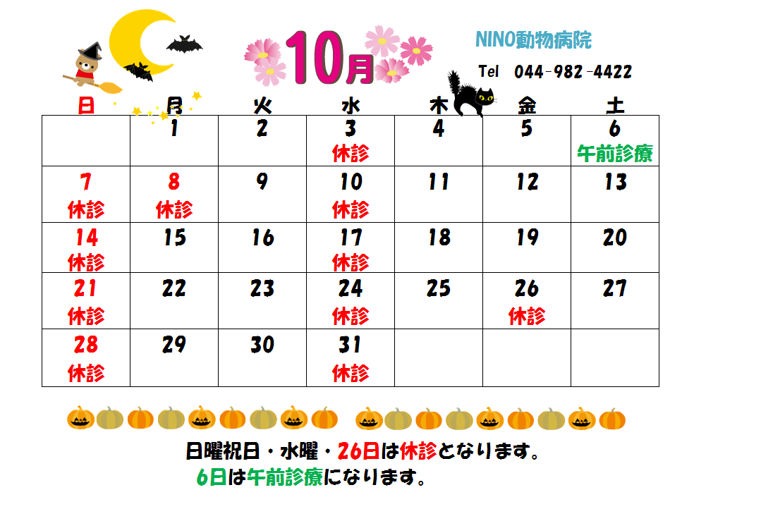 10月の診療日のお知らせ☆_e0288670_15221842.png