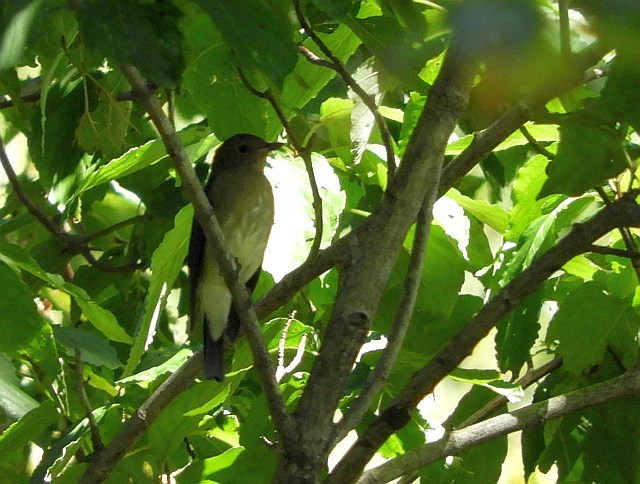 f0378979_21445984.jpg