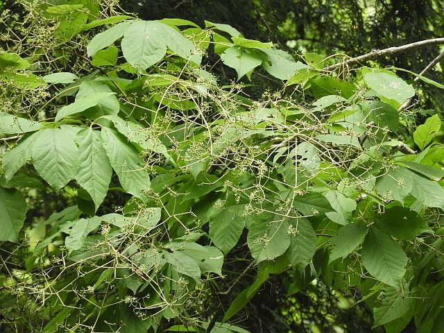 f0378979_21484436.jpg