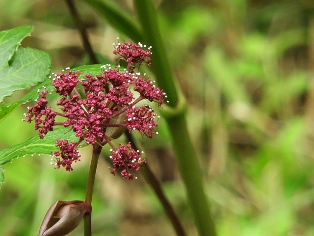 f0378979_21491752.jpg