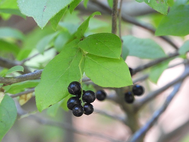 f0378979_22090374.jpg