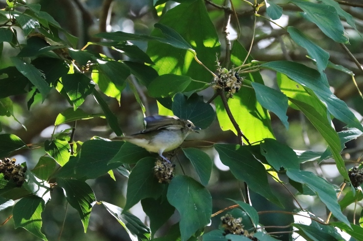 f0378282_13420536.jpg