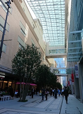 a0264383_19383719.jpg