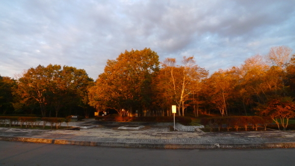 c0212083_17223611.jpg