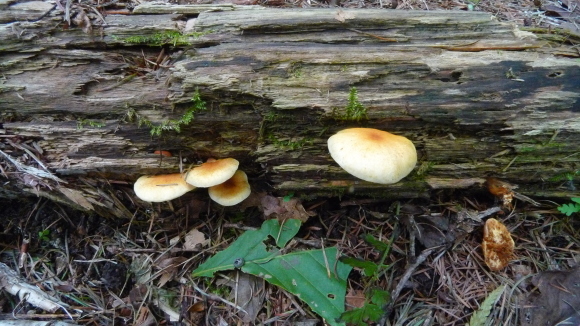 c0212083_17234312.jpg