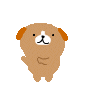 f0353990_16194776.gif