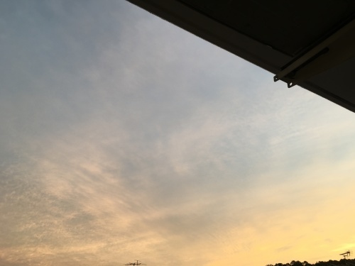 f0347891_03273770.jpeg