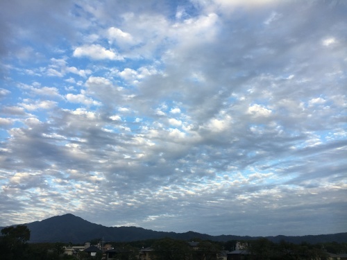 お出かけ_f0347891_19404769.jpeg