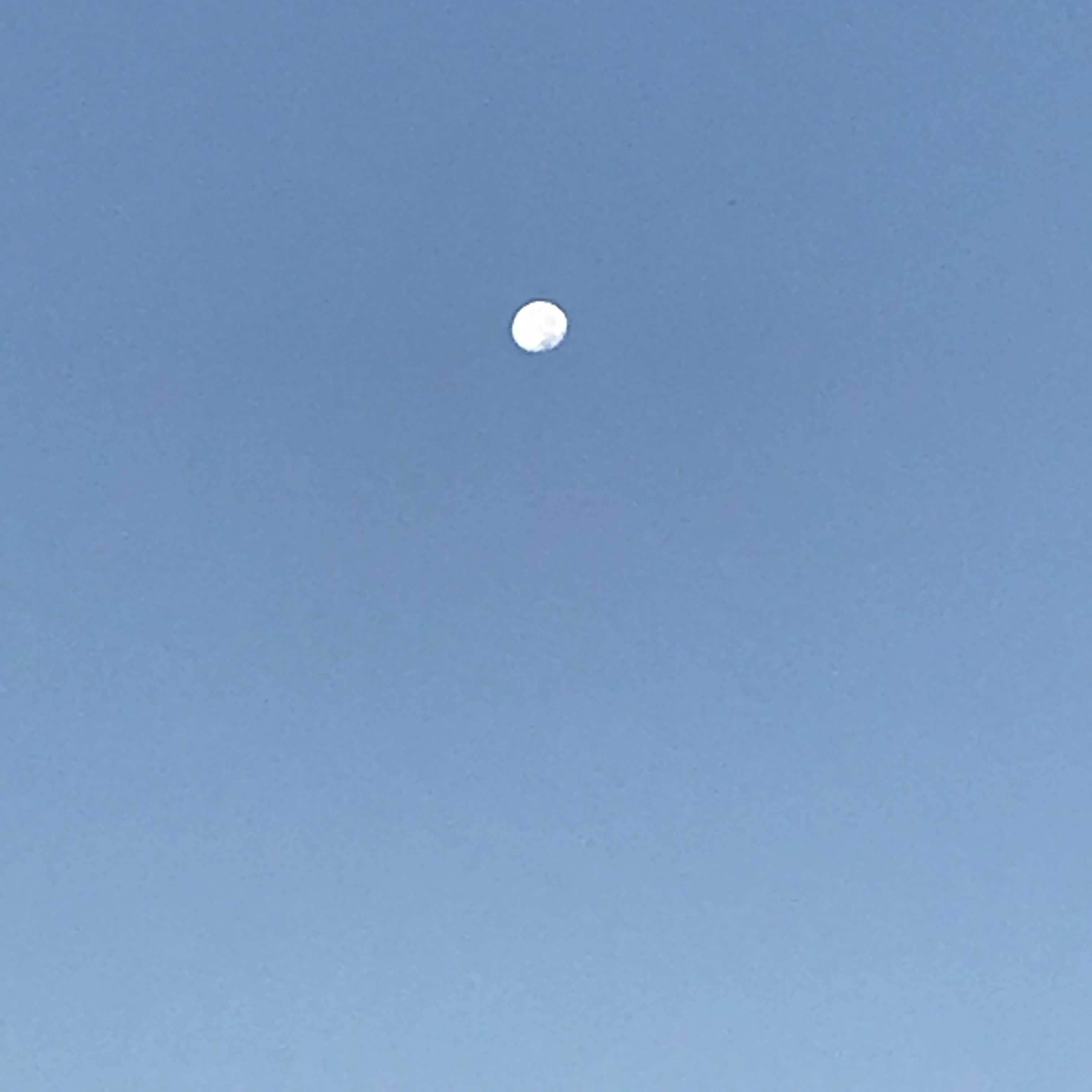 f0204295_09114283.jpg