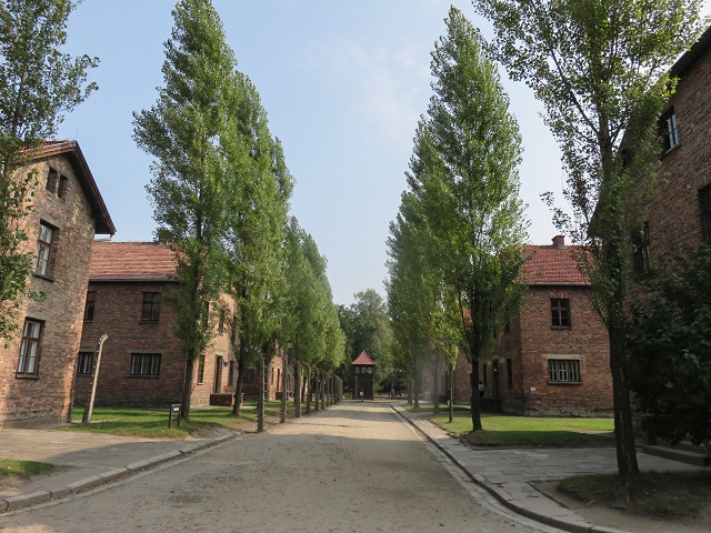 f0346196_15392512.jpg