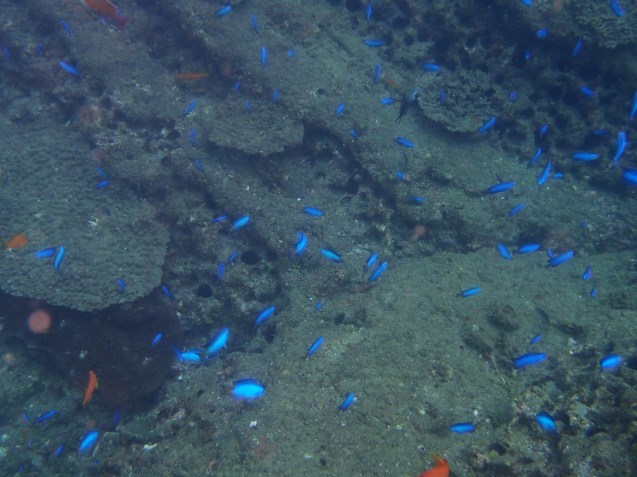 e0115199_14230139.jpg