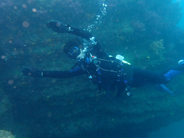 e0115199_15404774.jpg