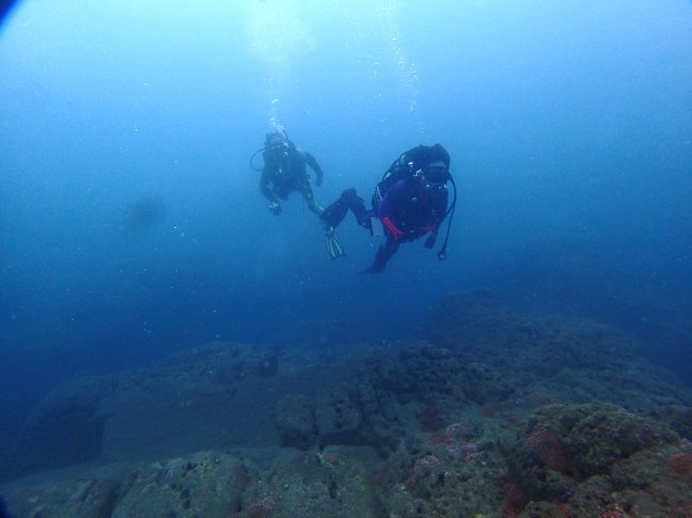 e0115199_15443748.jpg