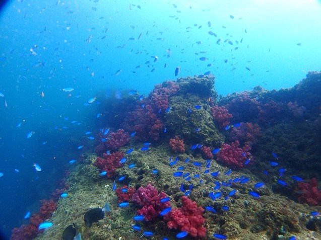 e0115199_15540909.jpg