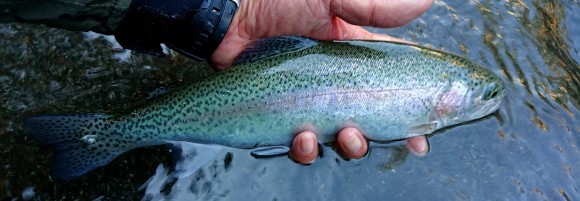 f0266202_22025945.jpg