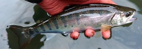 f0266202_22033986.jpg
