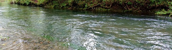 f0266202_22043813.jpg