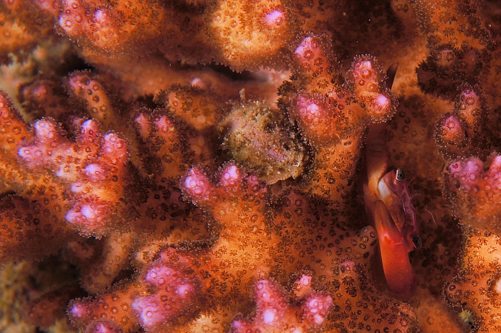 c0368903_07125555.jpg