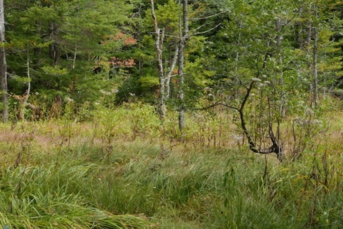 e0396705_08435642.jpg