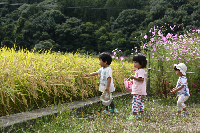 秋の子ども _a0357206_20555720.jpg