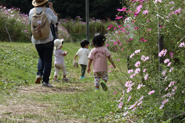 秋の子ども _a0357206_20561288.jpg