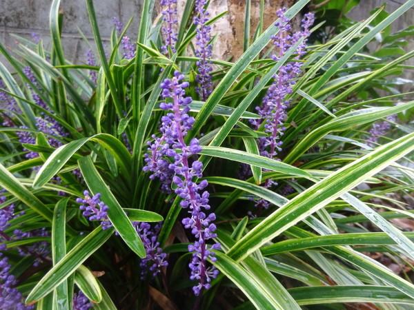 f0231709_11160422.jpg