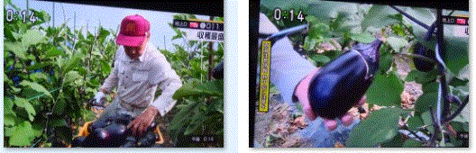 f0231709_11521263.gif