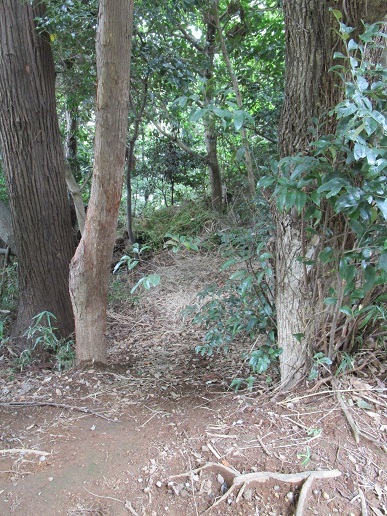 b0275715_21383029.jpg