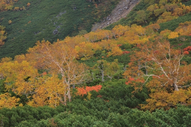 e0242721_09314090.jpg