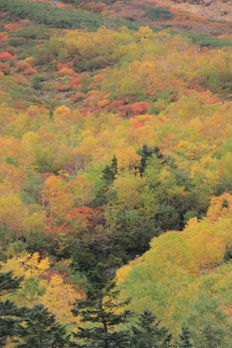 e0242721_09334099.jpg