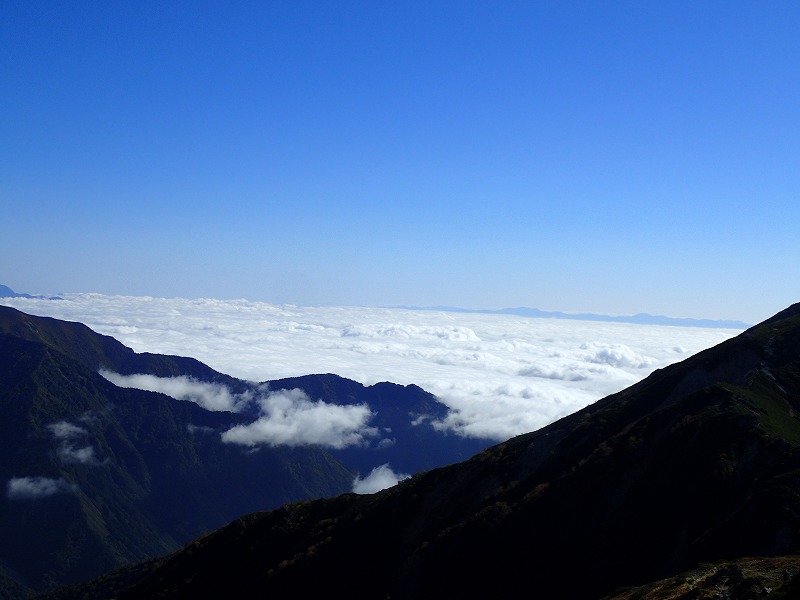 e0284726_155018.jpg