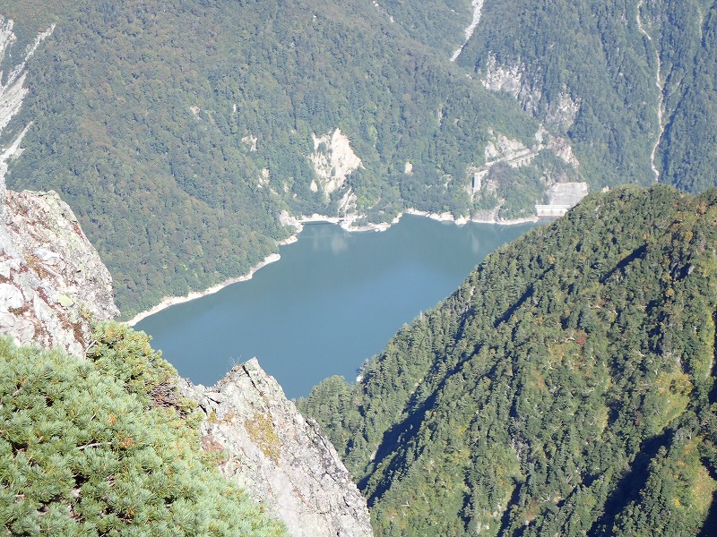 e0284726_1555115.jpg