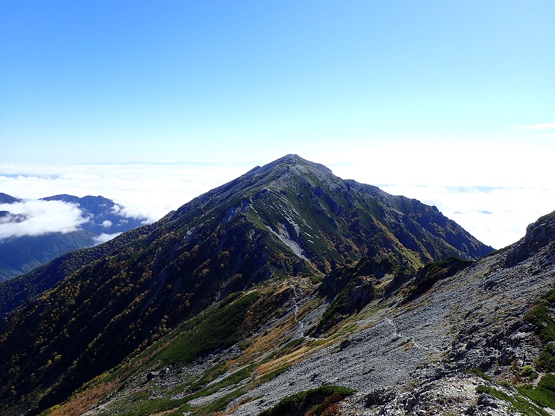 e0284726_1611791.jpg