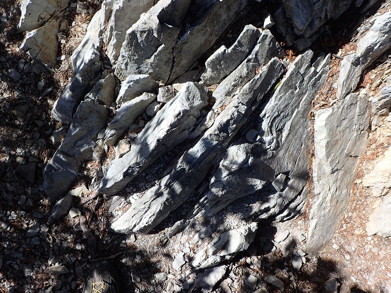 e0284726_1625143.jpg