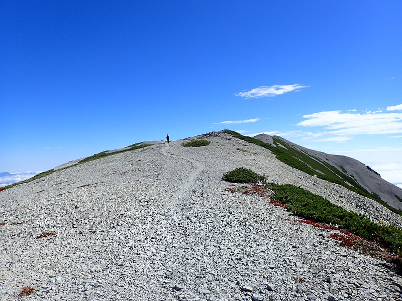 e0284726_1635155.jpg
