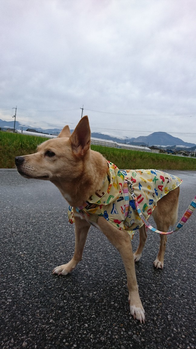 b0138430_10525911.jpg