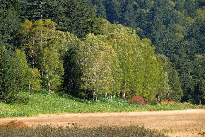 秋の尾瀬沼へトレッキング_e0362634_21204500.jpg